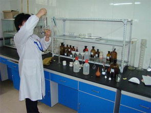 廣州優質食品級堿式碳酸鎂價格分析與技術推廣